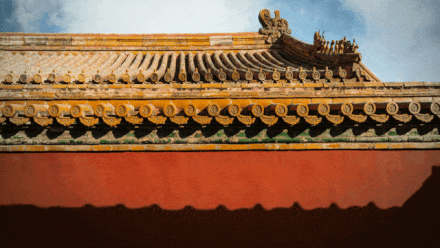 微信图片_20210315091305.gif