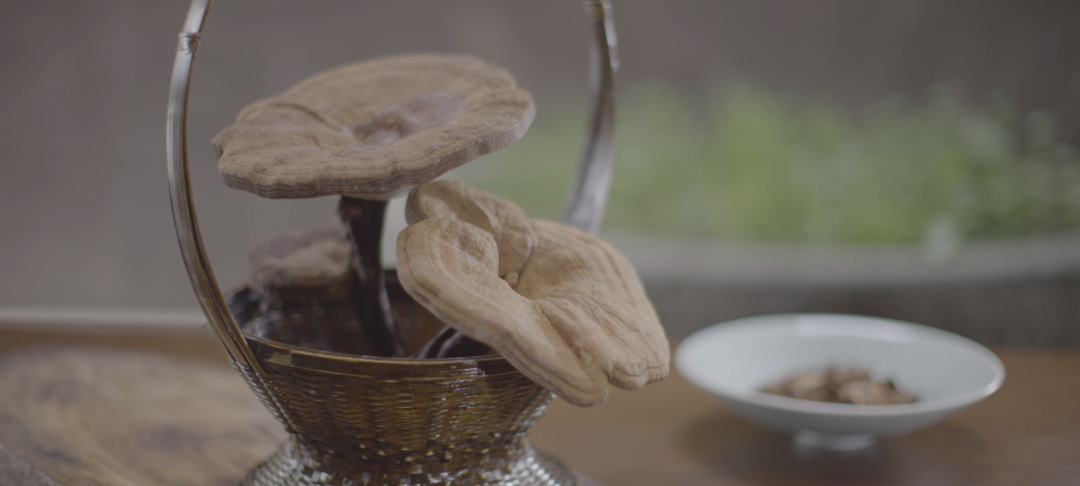 WeChat Image_20220713100233.png