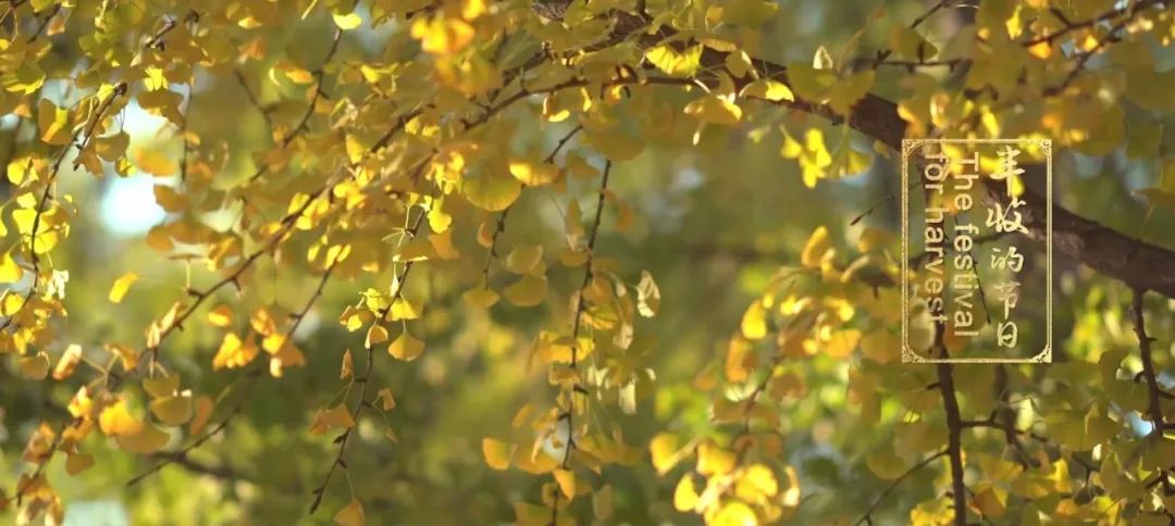 WeChat Image_20220912191010.jpg