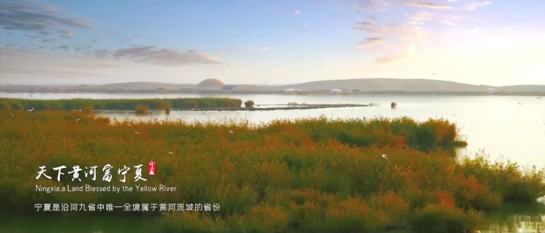 WeChat Image_20220913105933.jpg