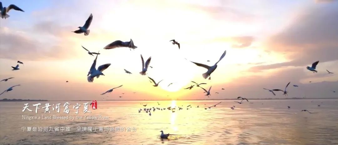 WeChat Image_20220913105936.jpg