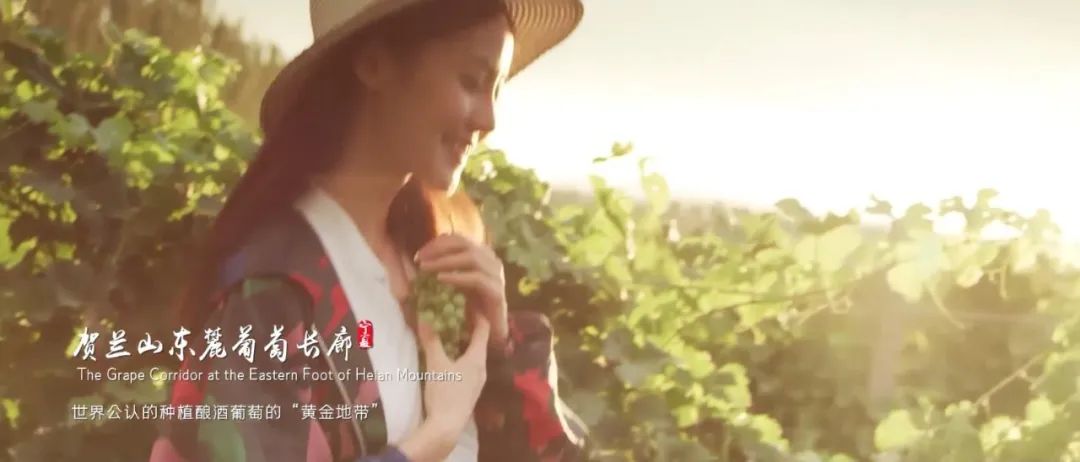 WeChat Image_20220913105956.jpg