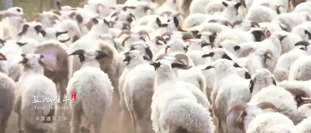 WeChat Image_20220913110004.jpg