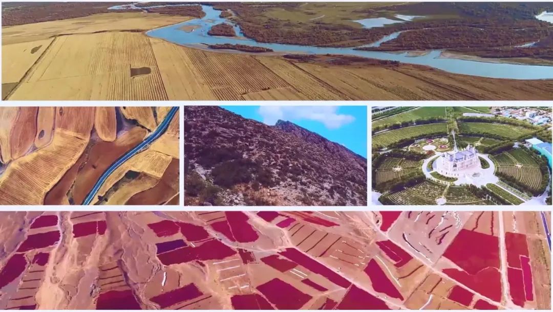 WeChat Image_20220913110012.jpg