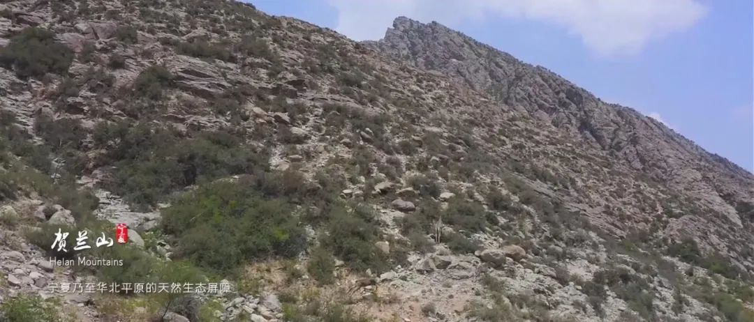 WeChat Image_20220913110023.jpg