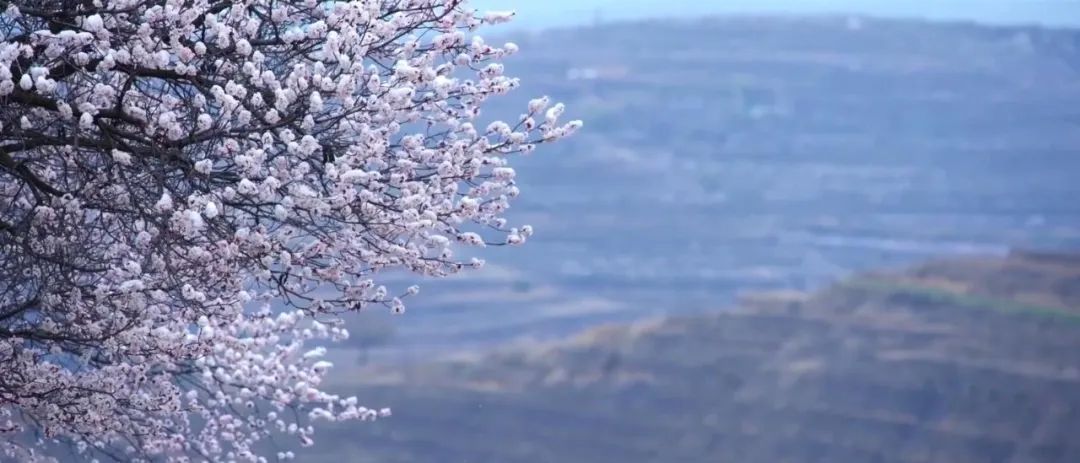 WeChat Image_20220913110027.jpg