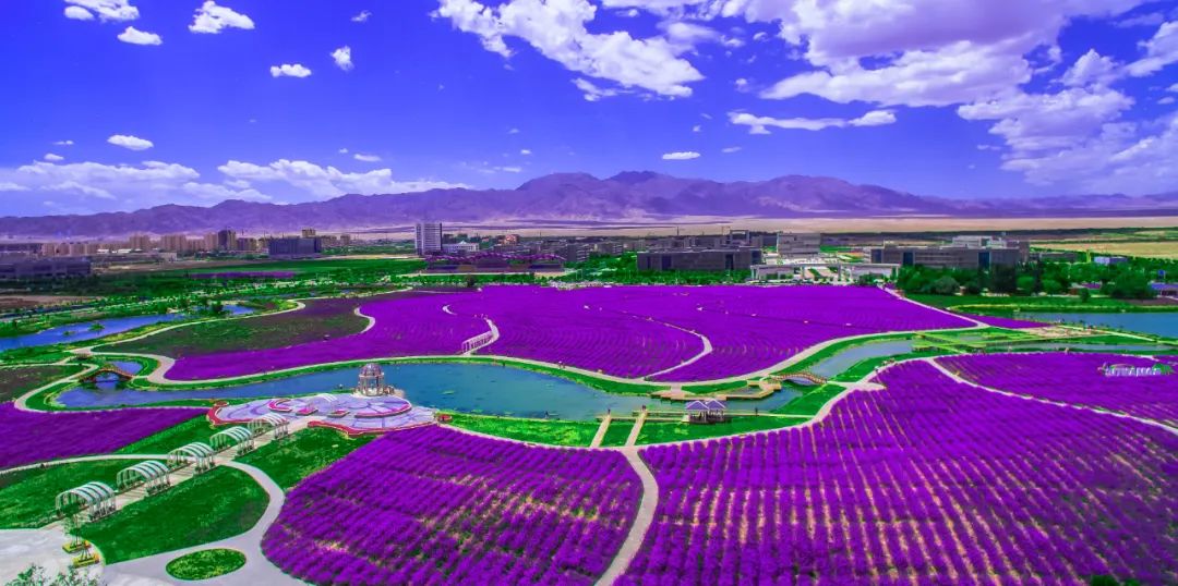 WeChat Image_20230303162658.jpg