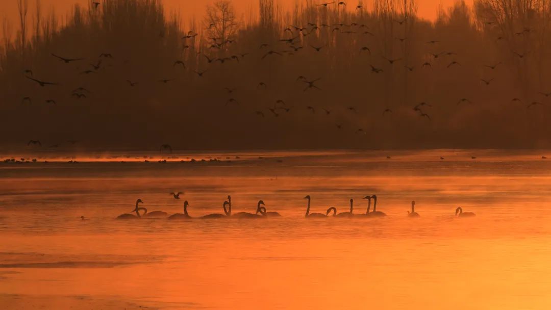 WeChat Image_20230303162701.jpg