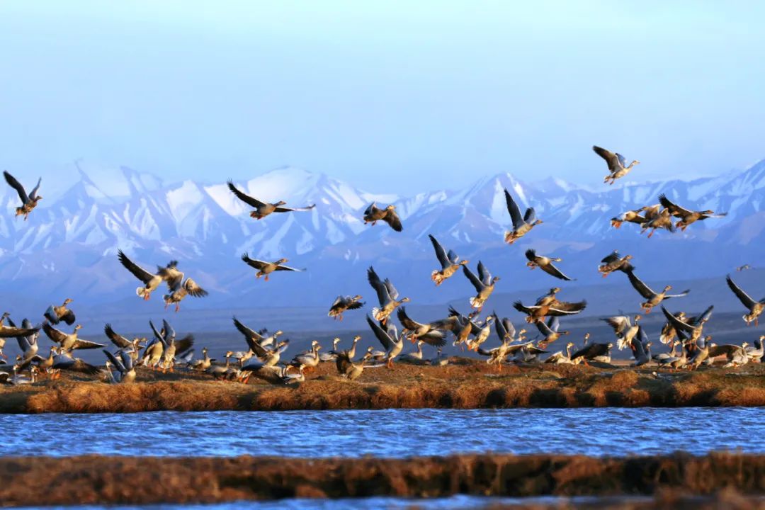 WeChat Image_20230303162703.jpg