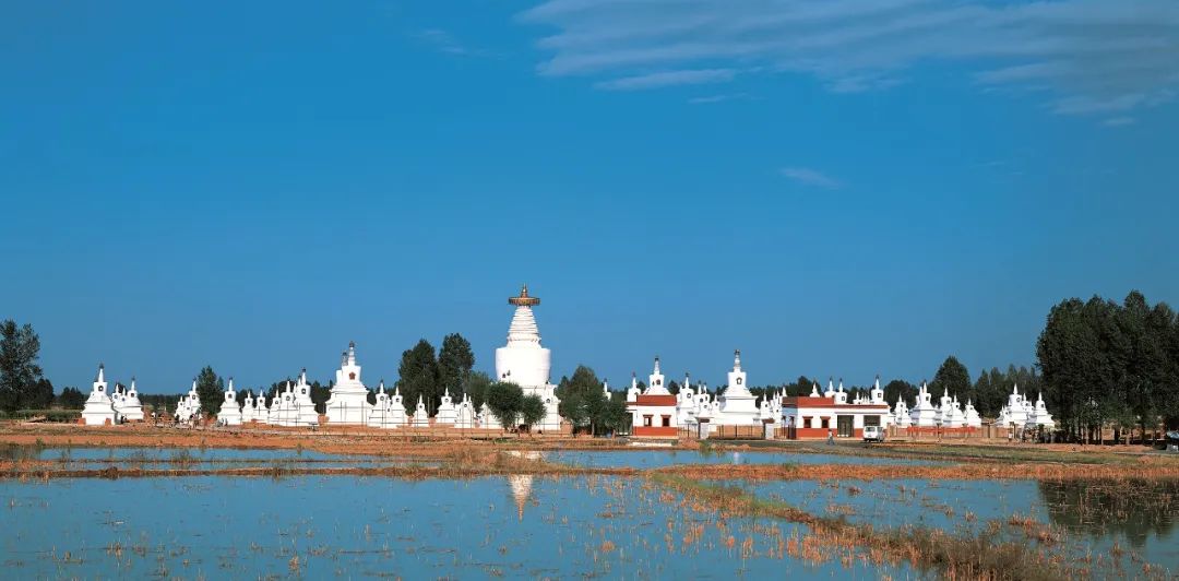 WeChat Image_20230303162706.jpg