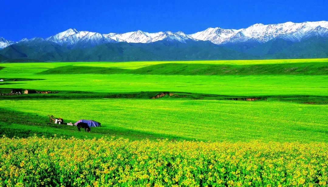 WeChat Image_20230303162708.jpg