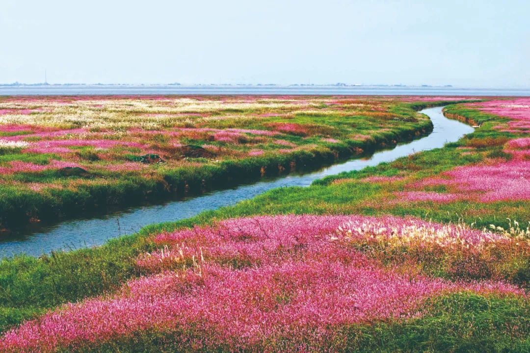 WeChat Image_20230712133912.jpg