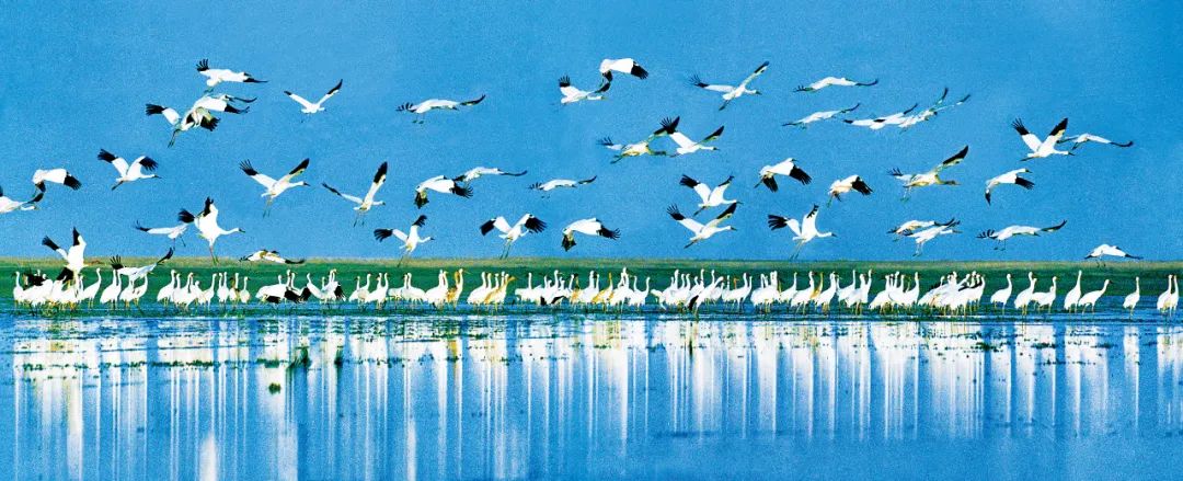 WeChat Image_20230712133916.jpg