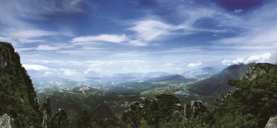 WeChat Image_20230712133918.jpg