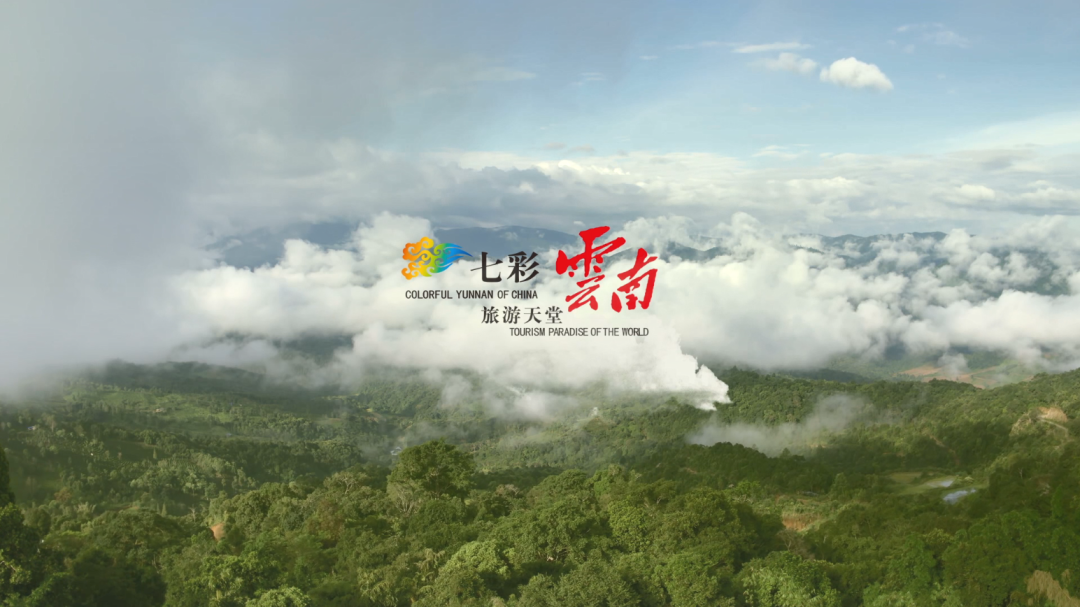 WeChat Image_20230718091109.png
