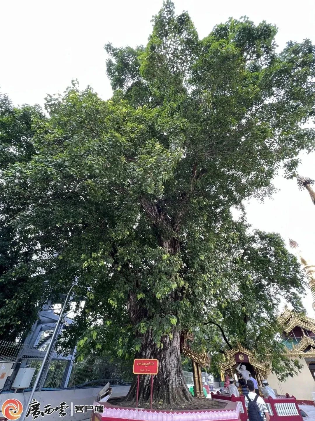 WeChat Image_20230915162339.jpg