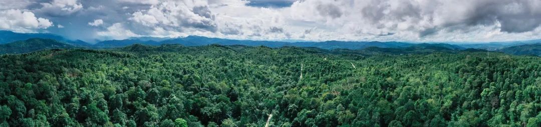 WeChat Image_20230927130814.jpg WeChat Image_20230927130814.jpg