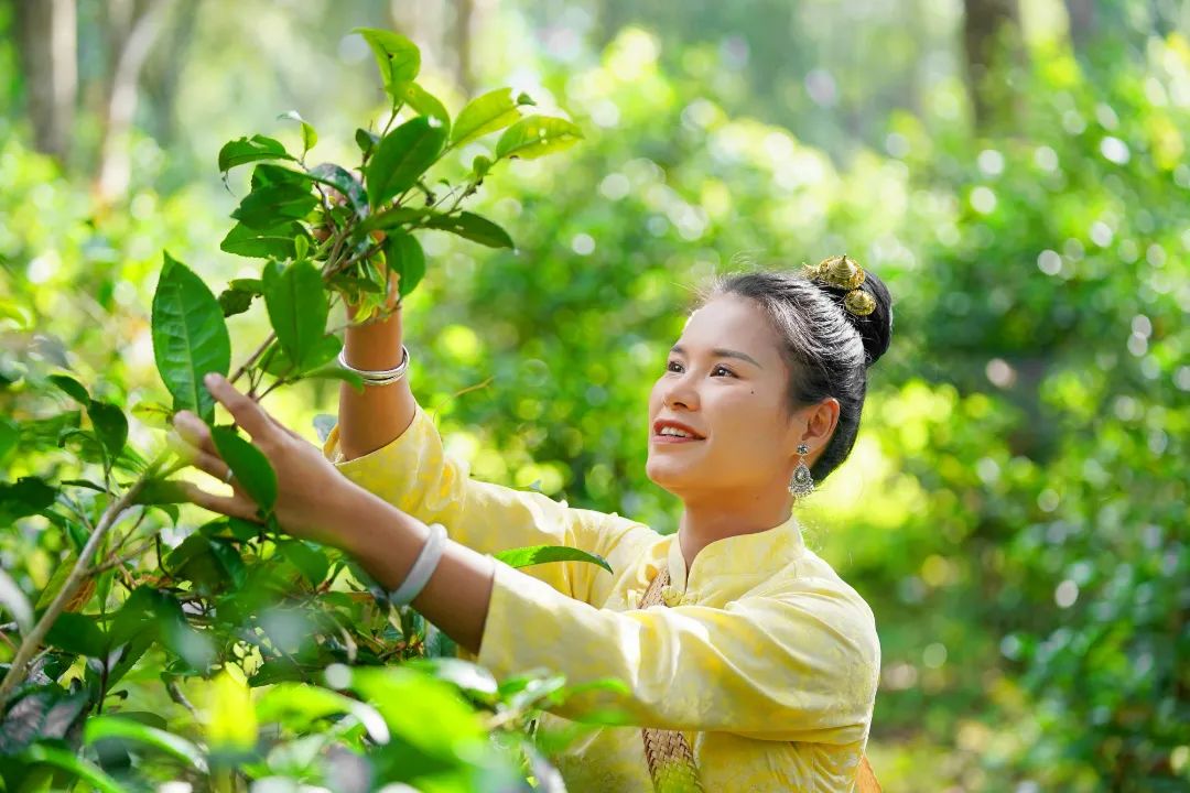 WeChat Image_20230927130819.jpg WeChat Image_20230927130819.jpg