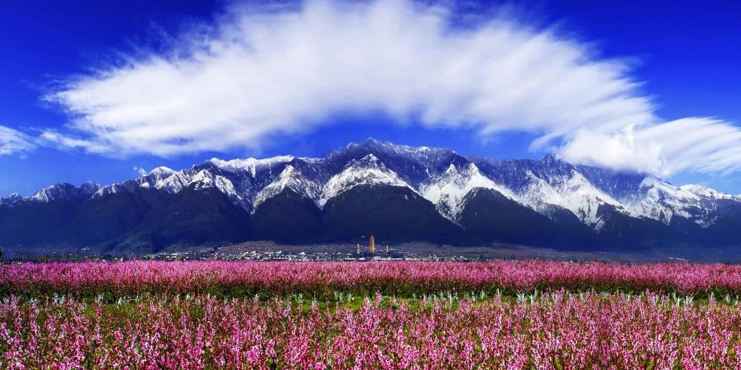 WeChat Image_20230927130822.jpg WeChat Image_20230927130822.jpg