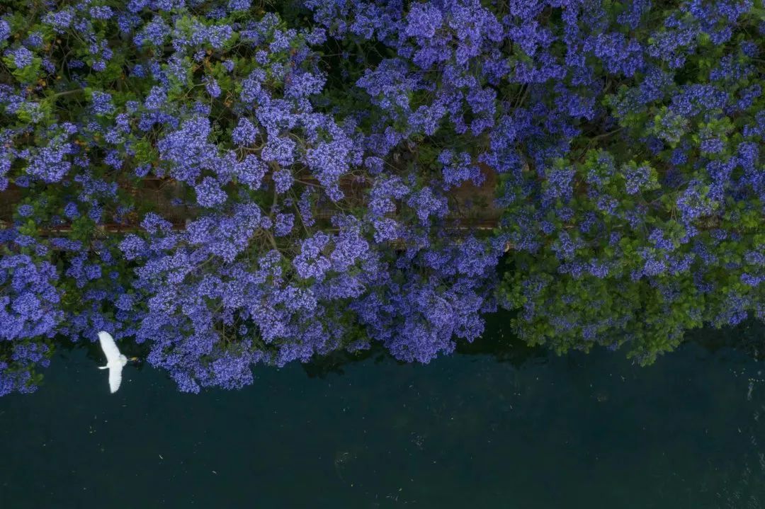 WeChat Image_20230927130824.jpg WeChat Image_20230927130824.jpg