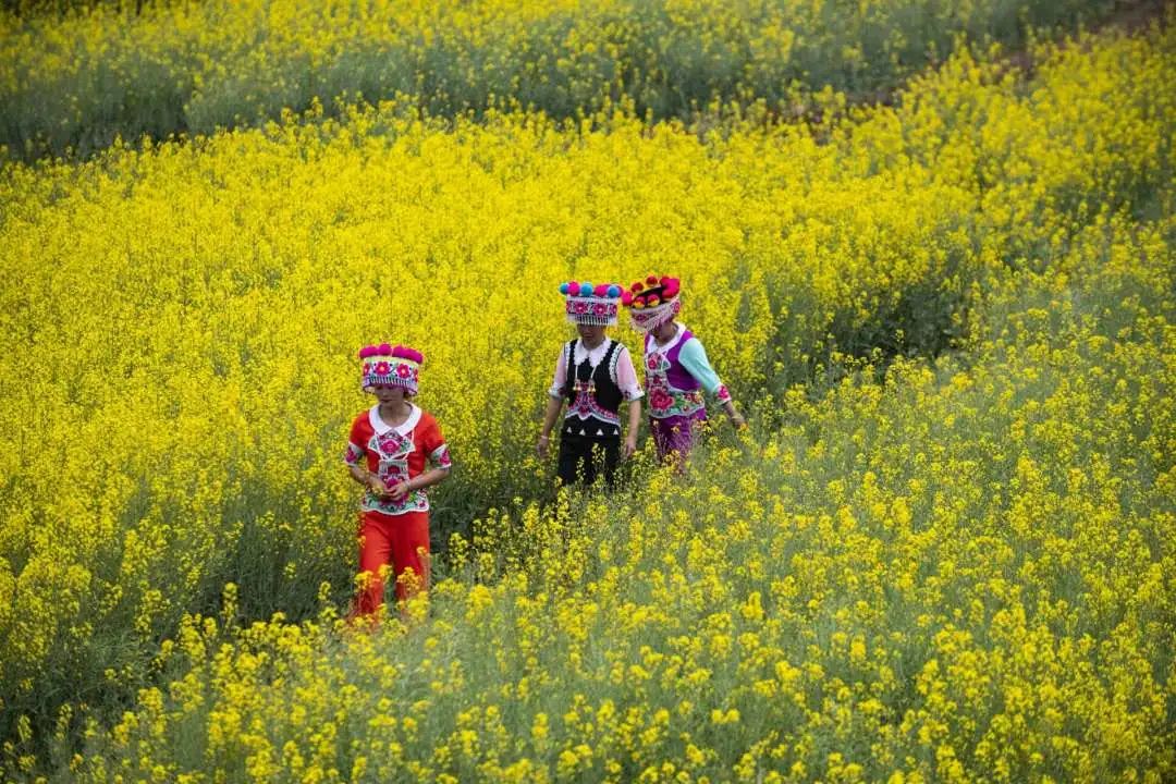 WeChat Image_20230927130826.jpg WeChat Image_20230927130826.jpg