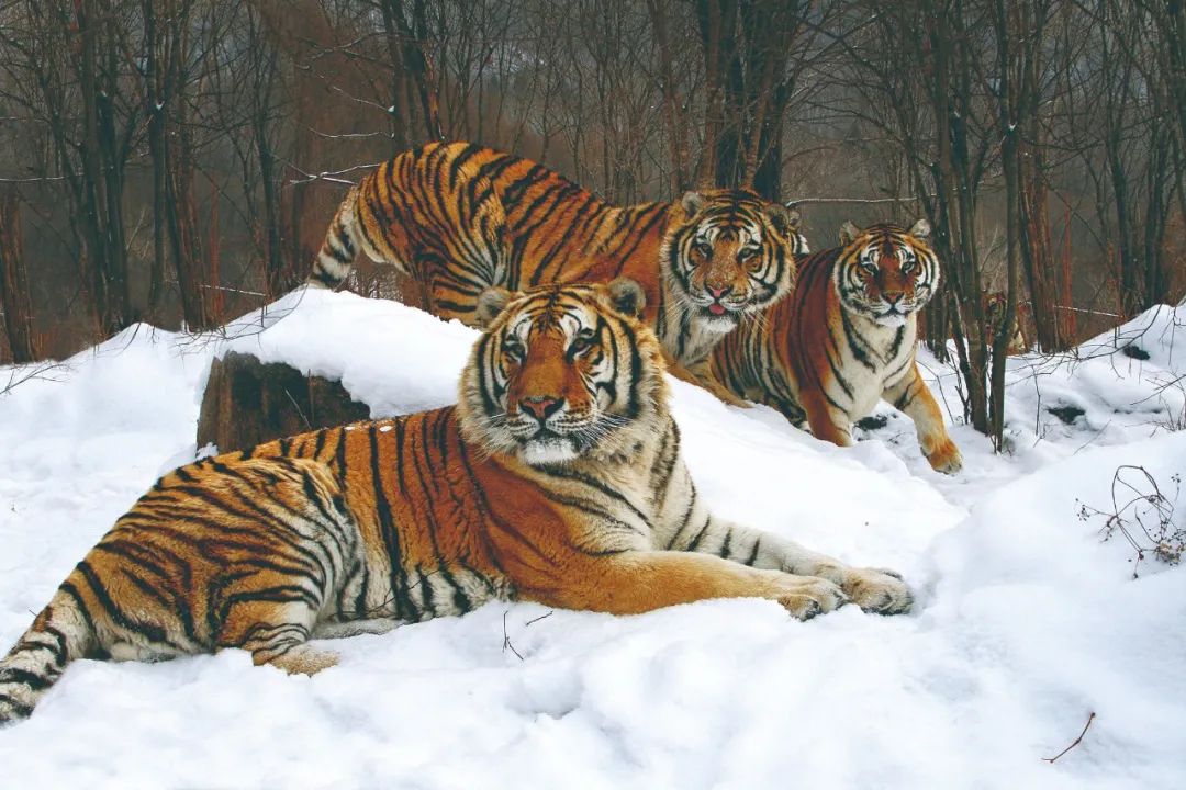 Image_20240110092248.jpg