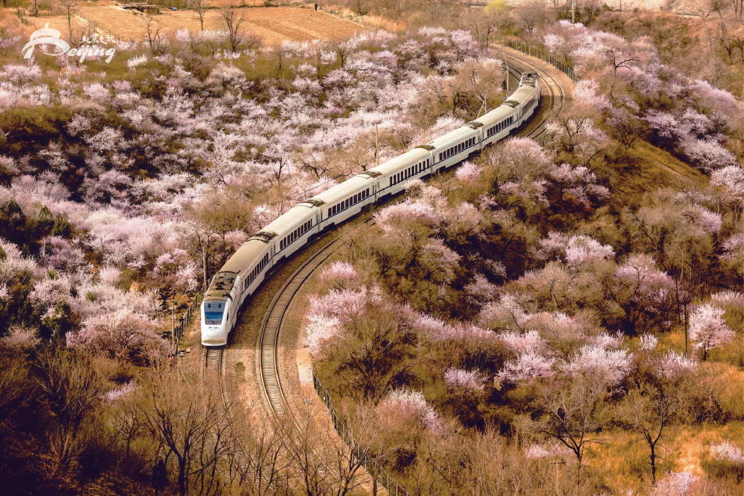 Image_20250807105044.png