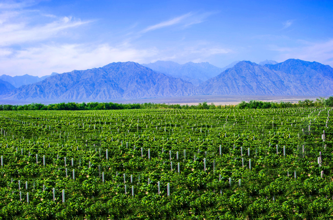 Image_20251031095147.png Image_20251031095147.png