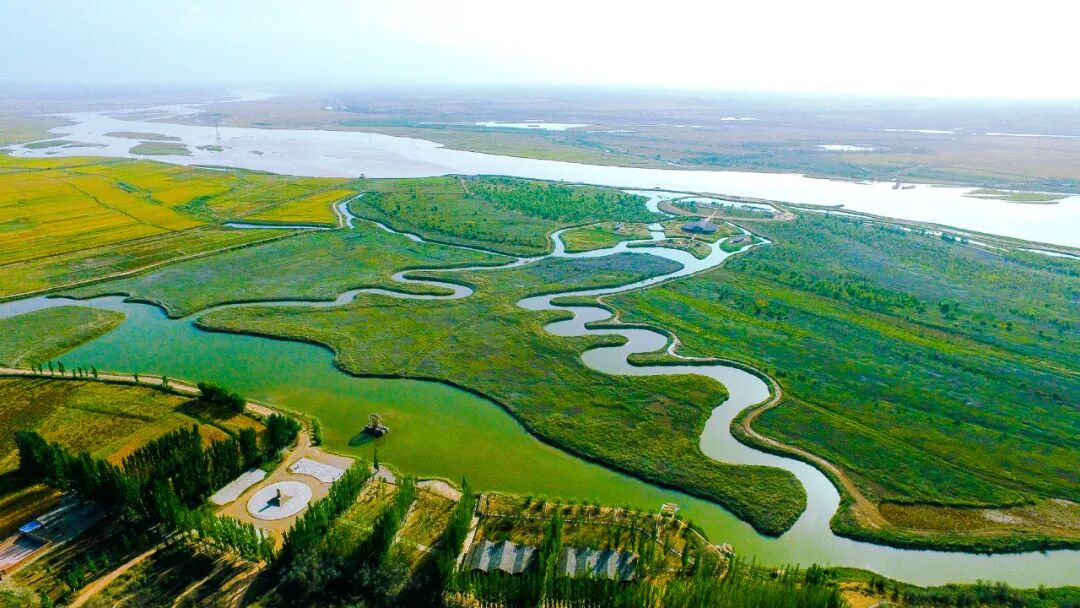 Image_20251031095158.jpg Image_20251031095158.jpg