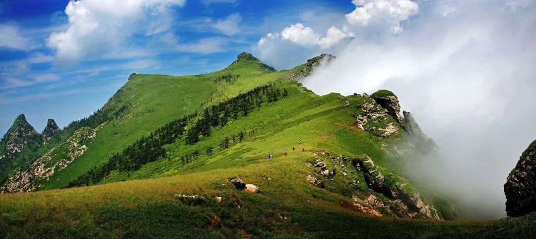 Image_20260102154033.jpg Image_20260102154033.jpg