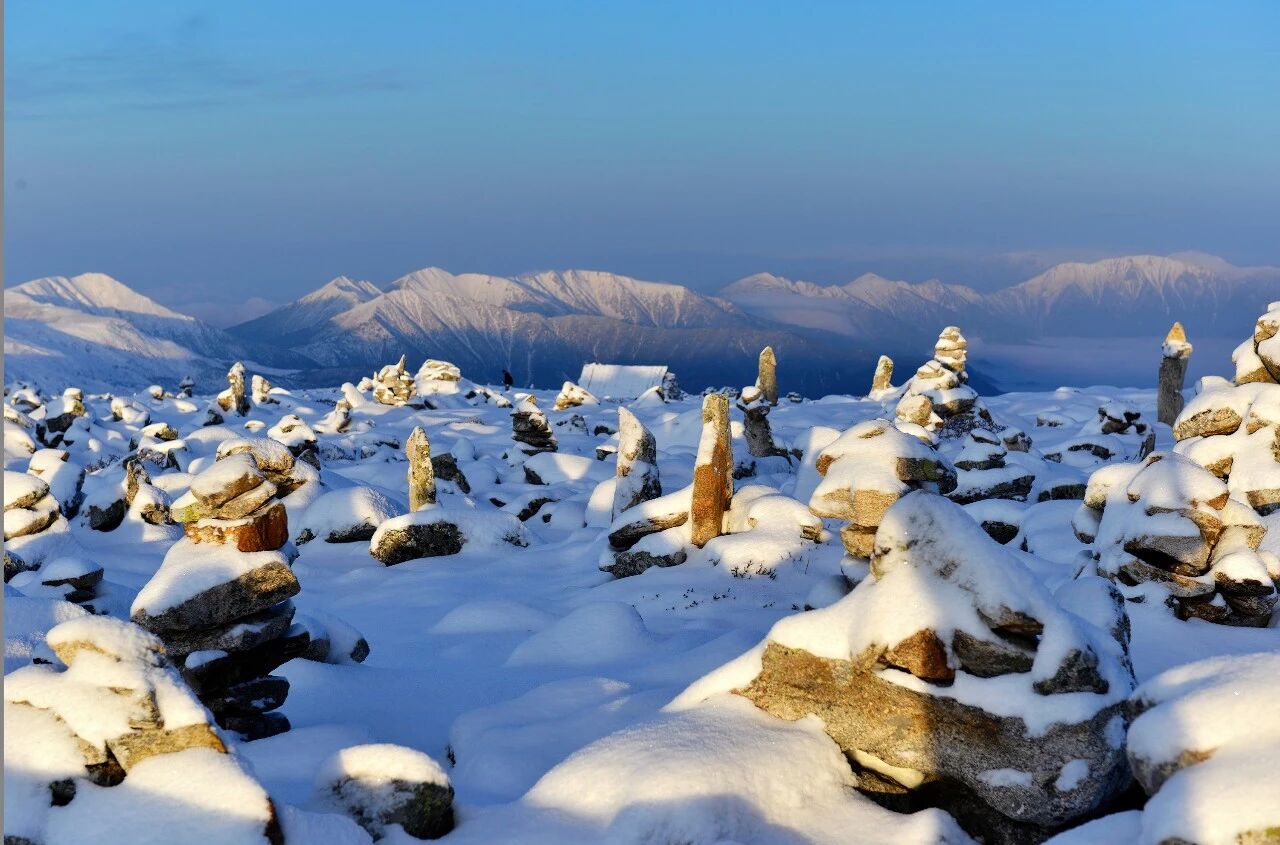 Image_20260102154458.jpg Image_20260102154458.jpg